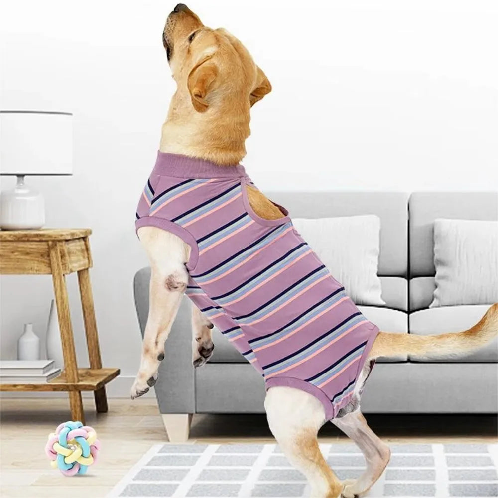 Breathable Dog Surgery Recovery Suit Thickened Comfortable Neuter Anti-Lick Suit Soft Warm Postoperative Clothes