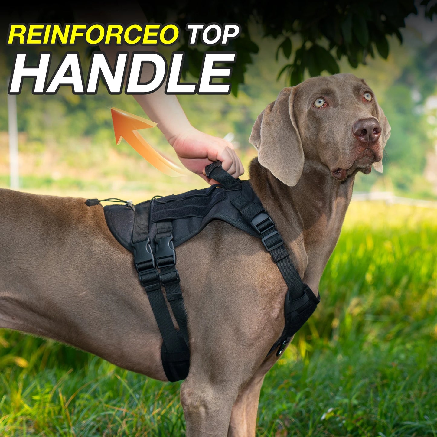 Tactical Chest Strap Large Dog Explosion proof Outdoor Anti slip Tank Top Pet Traction Dog Harness Reinforcement Loop Dog Walkin