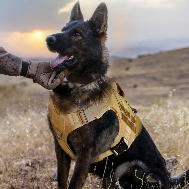 Tactical Dog Vest Harness No Pull Comfortable Adjustable Pet Harness For Medium Large Dog Military Training With Handle Labrador