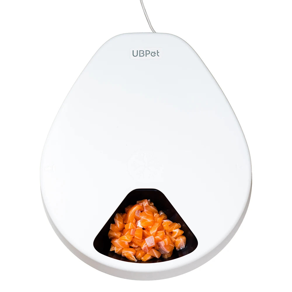 Electric Automatic Cat Feeder Wet Food With Cooling Eco-Friendly Adjustable Steel Bowls for Water & Dog Use