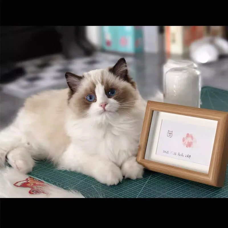 DIY Ink Pads Photo Frame Handprint Pet Pawprint Keepsake Kit Picture Frame Premium Wooden Photo Frame Dog Or Cat  Paw Print