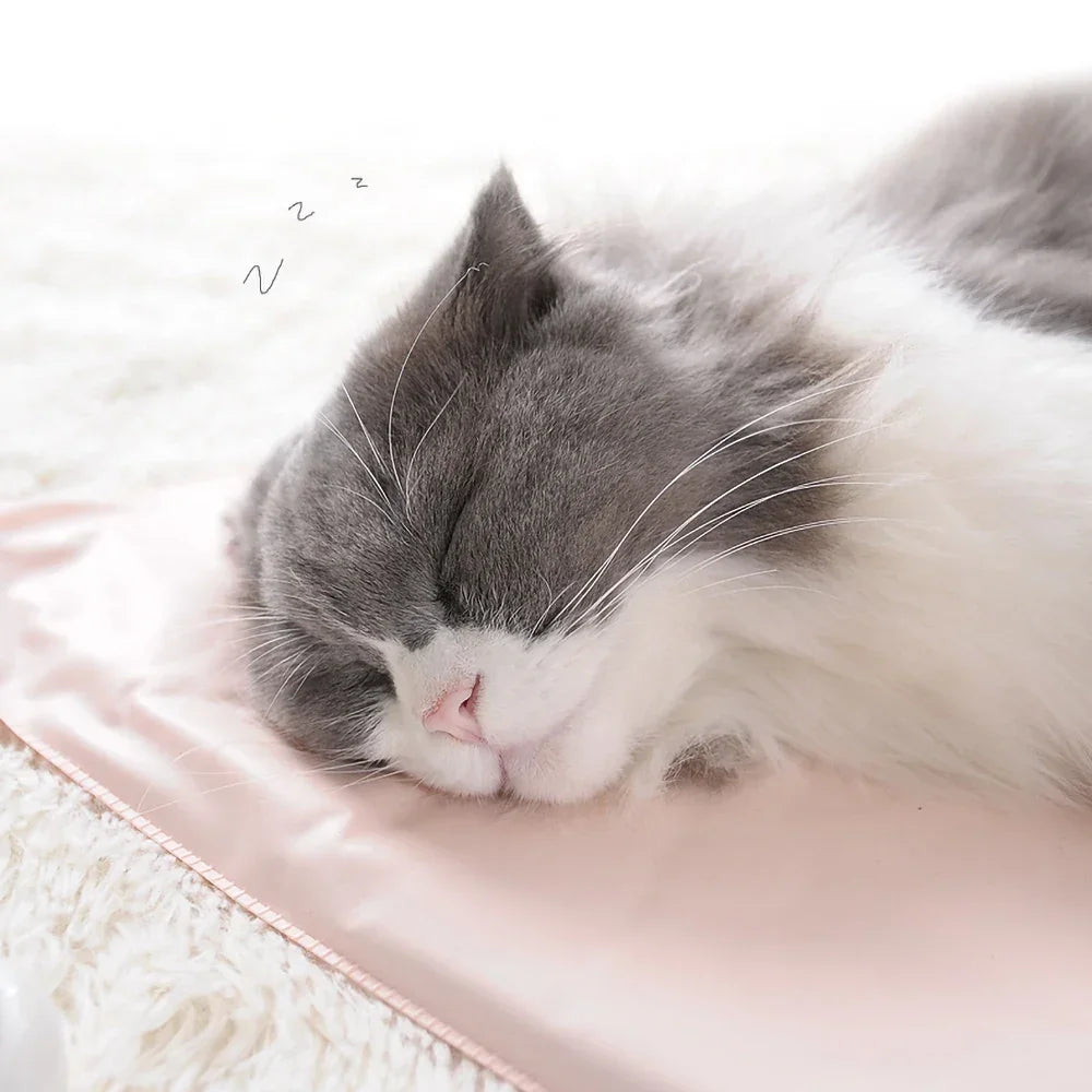 Winter Dog Bed Pet Dog Cat Heating Pad Indoor Warming Mat 45*45cm Waterproof Warmer Pet Mat Bed for Dogs Cats