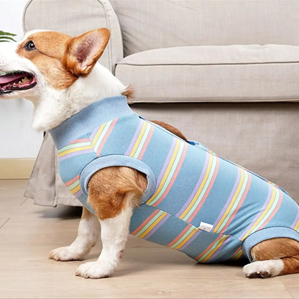 Breathable Dog Surgery Recovery Suit Thickened Comfortable Neuter Anti-Lick Suit Soft Warm Postoperative Clothes