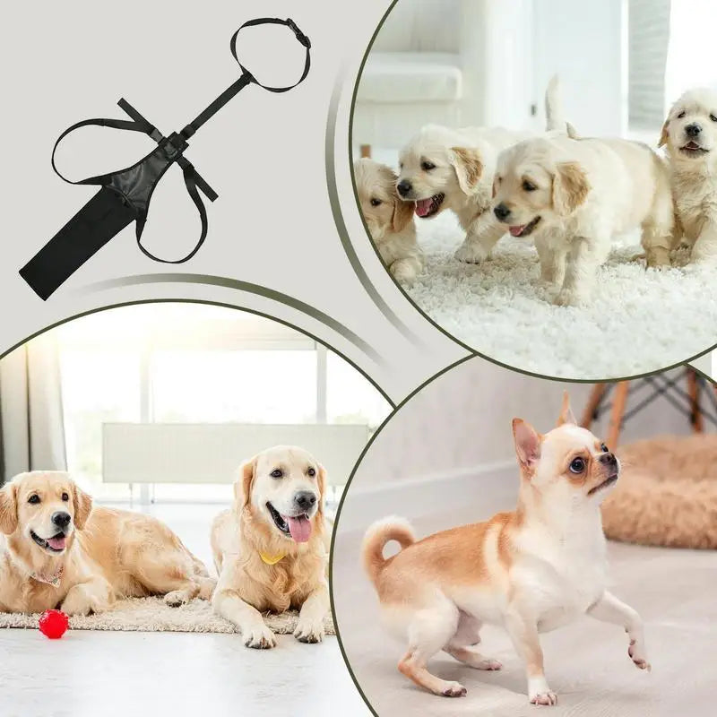 Tail Cover up for Dog Adjustable Dog Tail Guard Tail Wound Protector Tail End Bag Dog Tail Shield for Preventing Licking Wounds